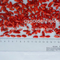 Dried Goji berry Organic Goji berry OEM supplier